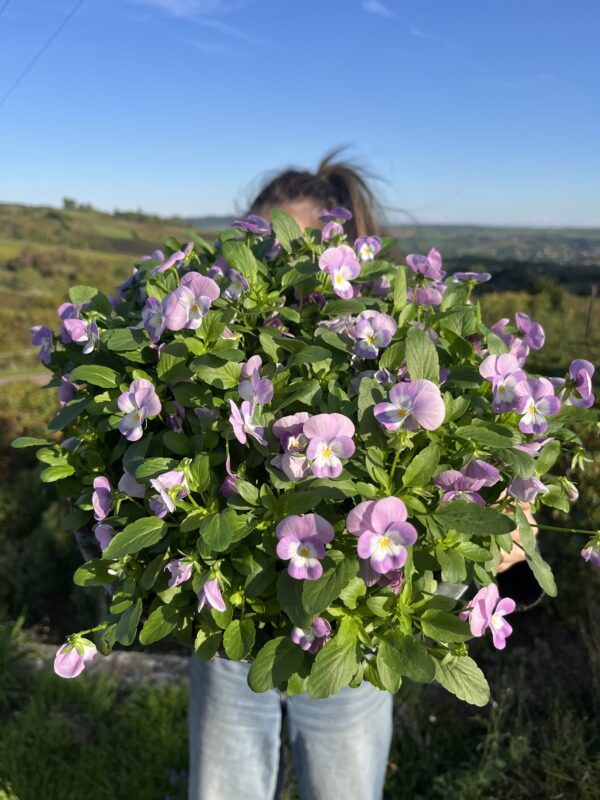 Coupe de pensées
