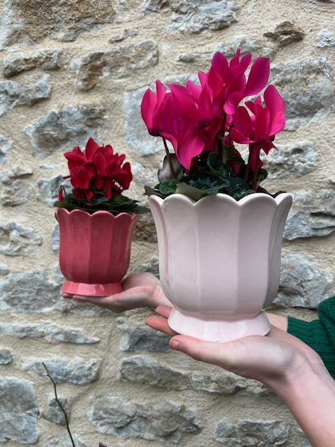 Cyclamen & son cache pot en céramique